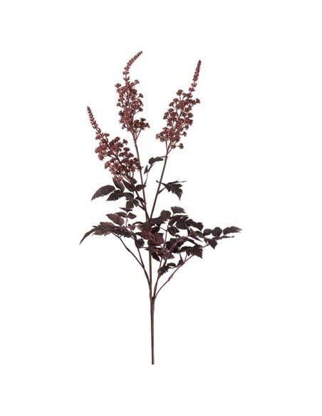 Silverax H80cm | Planta ornamental elegante y resistente | Endanea Garden