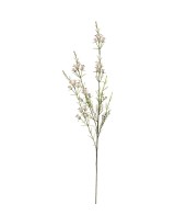 Calluna H63cm | Planta ornamental de temporada para jardín y terraza | Endanea Garden