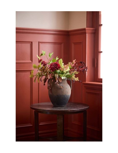 Barkvist H68cm | Planta ornamental frondosa para interiores y exteriores | Endanea Garden