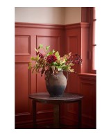 Barkvist H68cm | Planta ornamental frondosa para interiores y exteriores | Endanea Garden