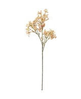 Brudsloja H70cm | Planta ornamental elegante para interiores y exteriores | Endanea Garden