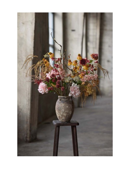 Brudsloja H70cm | Planta ornamental elegante para interiores y exteriores | Endanea Garden