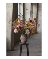 Brudsloja H70cm | Planta ornamental elegante para interiores y exteriores | Endanea Garden