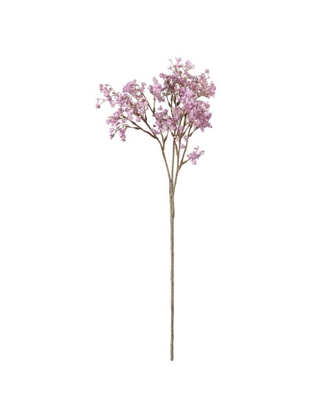 Brudsloja H70cm Planta Ornamental Verde Intenso para Interiores y Exteriores