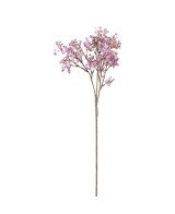 Brudsloja H70cm Planta Ornamental Verde Intenso para Interiores y Exteriores