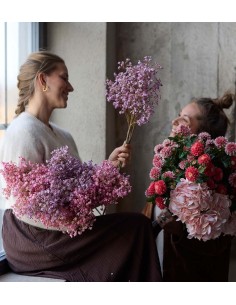 Brudsloja H70cm Planta Ornamental Verde Intenso para Interiores y Exteriores 2