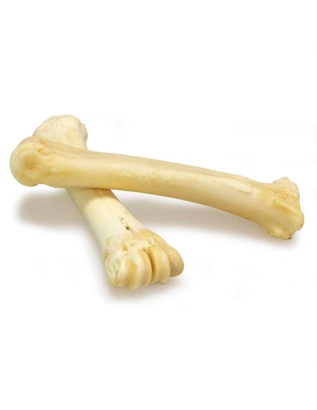 Hueso de Calcio para Perros 18-25 cm - Refuerza Dientes y Encías | Endanea Mascotas