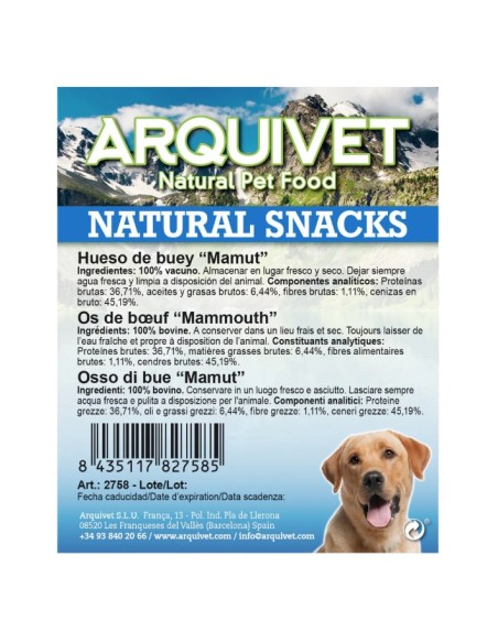 Hueso de Buey Mamut para Perros | Snack Natural, Durable y Saludable