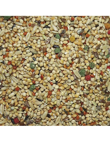 Periquitos Vit Pro Bolsa 5 kg | Alimento completo y nutritivo para periquitos | Endanea Mascotas