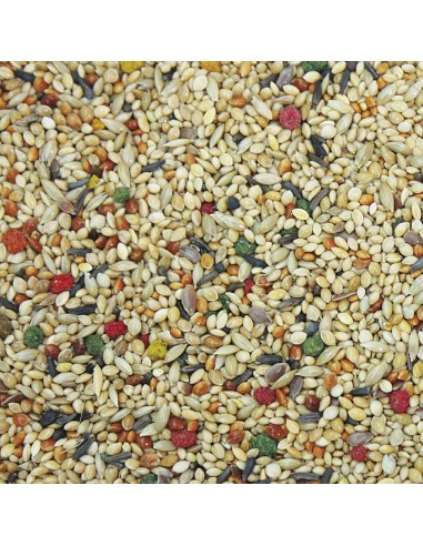 Exóticos Vit Pro Bolsa 5 kg | Alimento completo para aves, reptiles y mamíferos exóticos | Endanea Mascotas