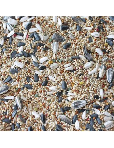 Cotorras Vit Pro Bolsa 5 kg | Alimento completo y nutritivo para cotorras | Endanea Mascotas 2