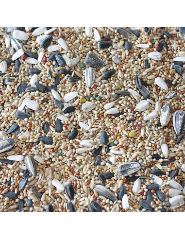 Cotorras Vit Pro Bolsa 5 kg | Alimento completo y nutritivo para cotorras | Endanea Mascotas