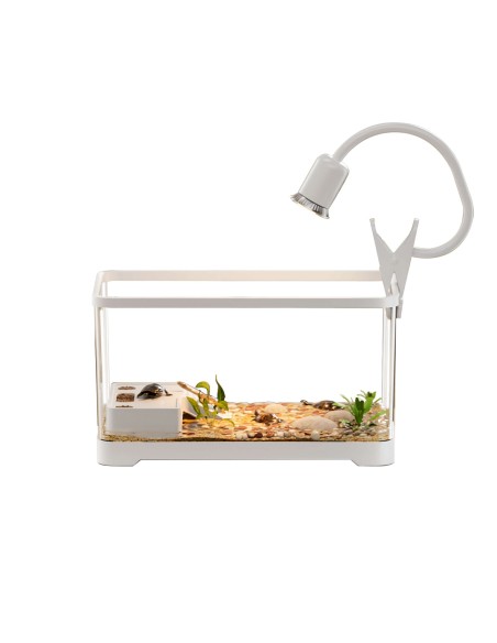 Tortuguera Vision 360 30x18x19 cm Blanca | Hábitat seguro y práctico para tortugas | Endanea Mascotas