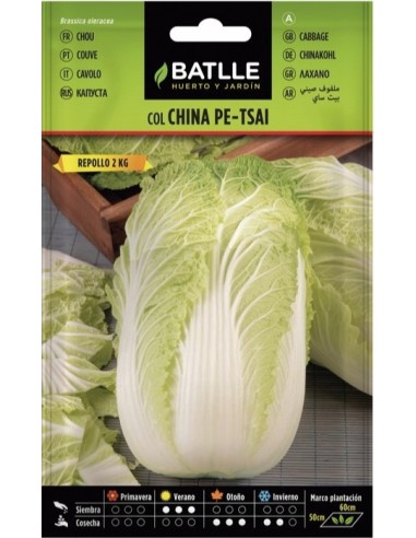 Semillas Lechuga Reina Mayo Battle | Cultivo Fácil y Saludable
