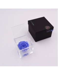 Flowercube Rosa 8x8 Packaging Azul Cielo | Rosa Preservada Elegante | Endanea Garden 2