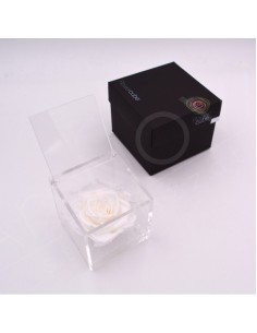 Flowercube Rosa 10x10 Packaging Blanco | Rosa Preservada Elegante | Endanea Garden