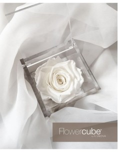 Flowercube Rosa 10x10 Packaging Blanco | Rosa Preservada Elegante | Endanea Garden 2