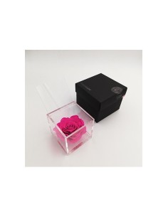 Flowercube Rosa 10x10 Packaging Fucsia | Rosa Preservada Elegante | Endanea Garden