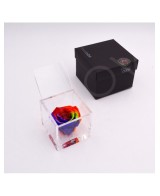 Flowercube Special Edition Rosa 8x8 Colore Rainbow Rosa Preservada Regalo Original