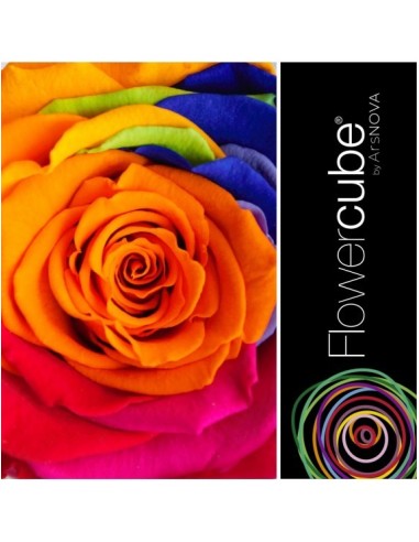Flowercube Special Edition Rosa 8x8 Colore Rainbow Rosa Preservada Regalo Original