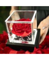 Lámpara LED Flowercube 10x10 Recargable Luz Cálida Decorativa