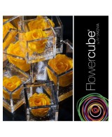 Flowercube Rosa 6x6 Packaging Amarillo Rosa Preservada Regalo Elegante