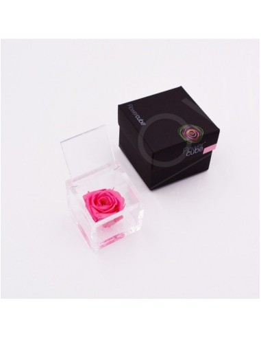 Flowercube Rosa 6x6 Packaging Rosa Regalo Floral Elegante y Duradero