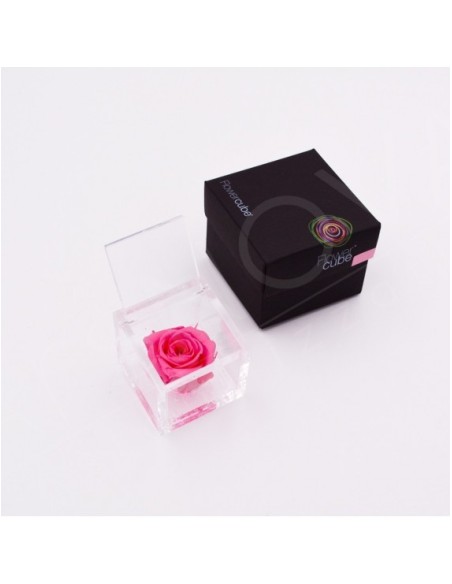 Flowercube Rosa 6x6 Packaging Rosa Regalo Floral Elegante y Duradero