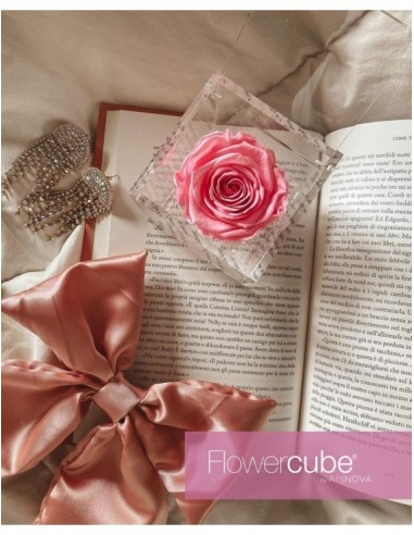 Flowercube Rosa 6x6 Packaging Rosa Regalo Floral Elegante y Duradero