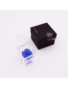Flowercube Rosa 6x6 Packaging Azul Cielo Regalo Floral Elegante