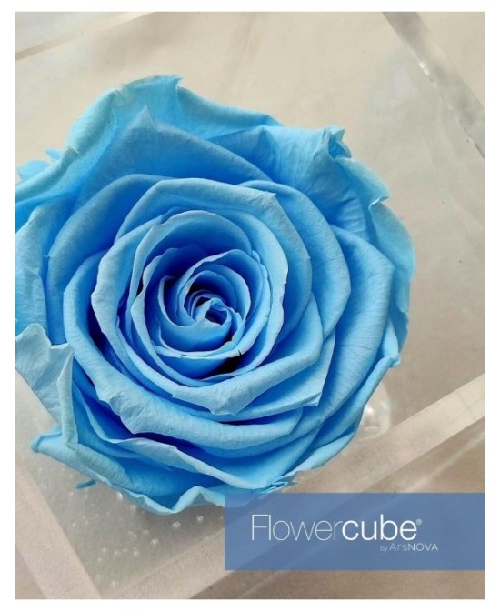Flowercube Rosa 6x6 Packaging Azul Cielo Regalo Floral Elegante