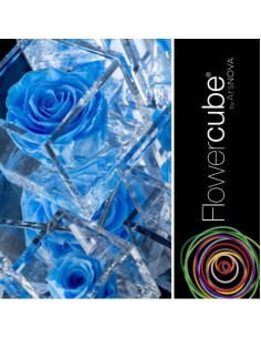 Flowercube Rosa 6x6 Packaging Azul Cielo Regalo Floral Elegante 2