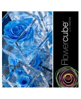 Flowercube Rosa 6x6 Packaging Azul Cielo Regalo Floral Elegante