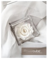Flowercube Rosa 8x8 Packaging Blanco Regalo Elegante Flores Preservadas