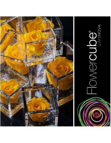 Flowercube Rosa 8x8 con Packaging Amarillo Regalo Floral Duradero
