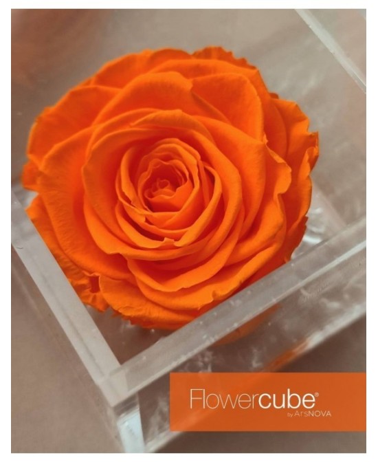 Flowercube Rosa 8x8 Packaging Naranja Regalo Floral Elegante y Sofisticado