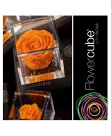 Flowercube Rosa 8x8 Packaging Naranja Regalo Floral Elegante y Sofisticado
