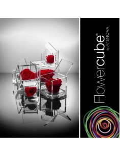 Flowercube Rosa 8x8 con Packaging Rojo | Rosa Preservada Elegante | Endanea Garden 2