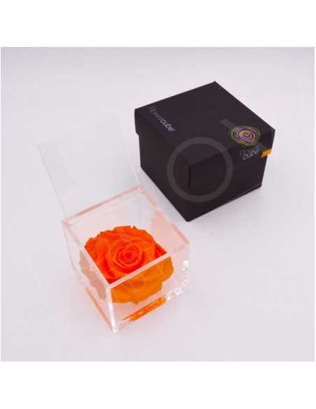 Flowercube Rosa 10x10 Packaging Naranja Regalo Floral Elegante