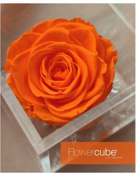 Flowercube Rosa 10x10 Packaging Naranja Regalo Floral Elegante