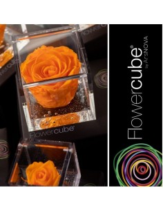 Flowercube Rosa 10x10 Packaging Naranja Regalo Floral Elegante 2