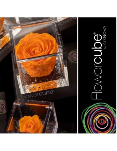 Flowercube Rosa 10x10 Packaging Naranja Regalo Floral Elegante