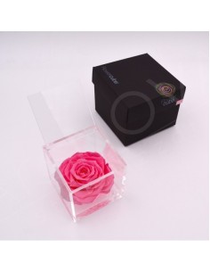 Flowercube Rosa 10x10 Packaging Rosa Regalo Floral Elegante y Duradero