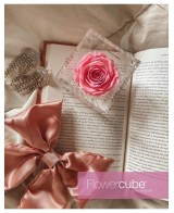 Flowercube Rosa 10x10 Packaging Rosa Regalo Floral Elegante y Duradero