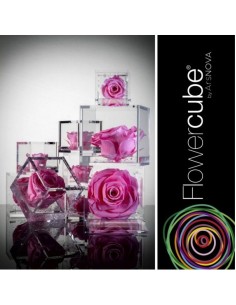 Flowercube Rosa 10x10 Packaging Rosa Regalo Floral Elegante y Duradero 2
