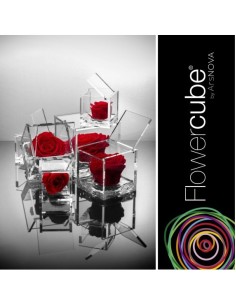 Flowercube Rosa 10x10 Packaging Rojo Regalo Floral Sofisticado 2