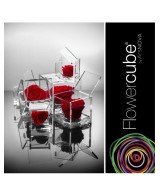 Flowercube Rosa 10x10 Packaging Rojo Regalo Floral Sofisticado