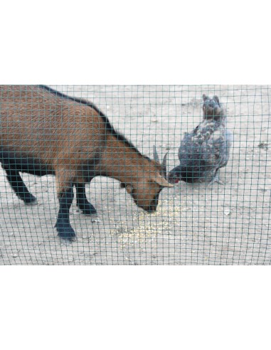 Malla Metal Cuadrada Plastificada 0.5x10m 19mm para Jardín Huerto y Construcción