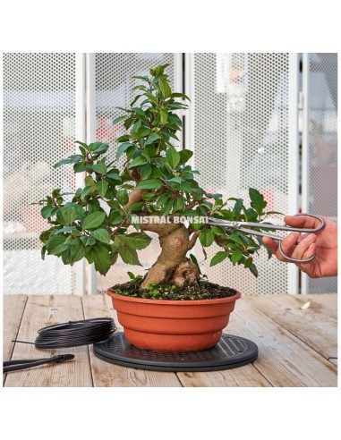 Torno Redondo 400 mm Mistral para Bonsáis Jardinería y Manualidades