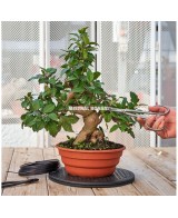 Torno Redondo 400 mm Mistral para Bonsáis Jardinería y Manualidades